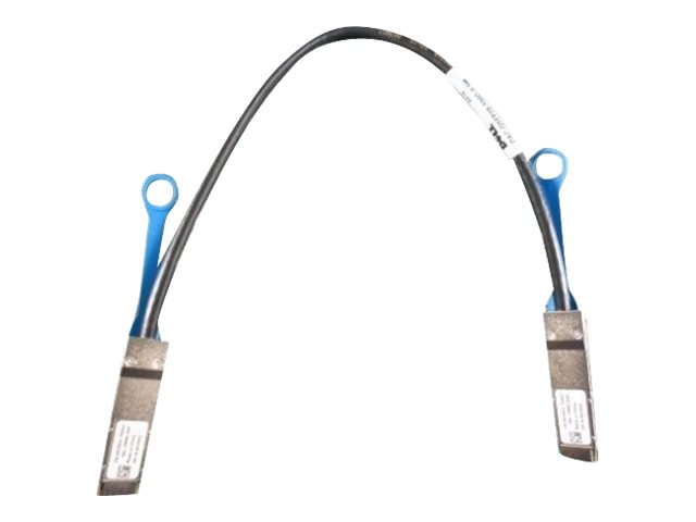 Vista limpia del cable Dell QSFP28 a QSFP28 100GbE de 0,5 metros